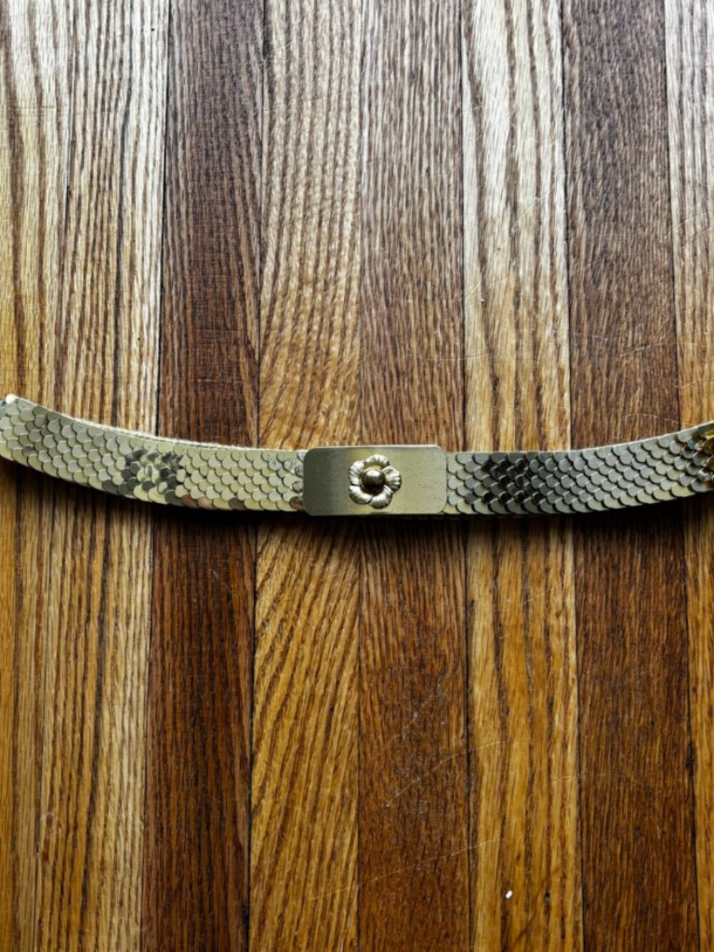 Vintage Gold Metal Fish Scale Stretchy Belt